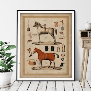 May include: Vintage illustration of a horse with various equestrian equipment, including a saddle, bridle, stirrups, and other tack. The image is titled "Jockey" and "At Garnier et Cie, Paris".
