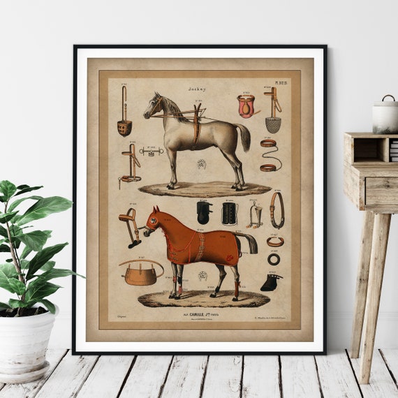 1890 Antique Jockey Horse Print: Vintage Equestrian Horseback Riding Art