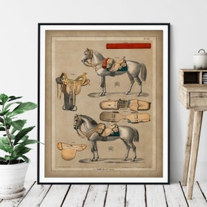1890 Horseback Riding Print: Antique Equestrian Equipment Wall Art