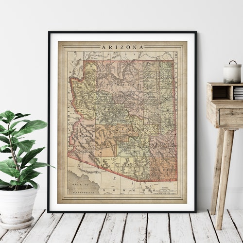 Wildflowers of Arizona Wall Art Printwatercolor Flowers Print Etsy