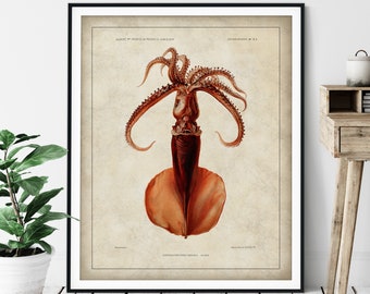 Antique Squid Print - Vintage Fish Art, Ocean Marine Life Wall Art, Oceanography Gift, Saltwater Animal Wall Decor, Fisherman Gift, Octopus