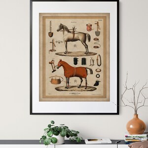 May include: An antique illustration of a horse with various horse tack and equipment. The illustration is in shades of brown, red, and black on a cream background. The text "Jockey" and "PL. 10" are visible in the image.