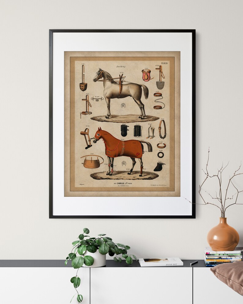 May include: An antique illustration of a horse with various horse tack and equipment. The illustration is in shades of brown, red, and black on a cream background. The text "Jockey" and "PL. 10" are visible in the image.