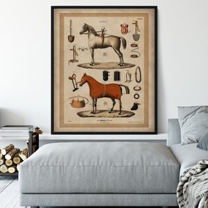 May include: Vintage illustration of two horses with various horse tack and equipment. The illustration is in black, white, brown, red, and orange. The text on the image reads "Jockey" and "At Taille d'un Pied".