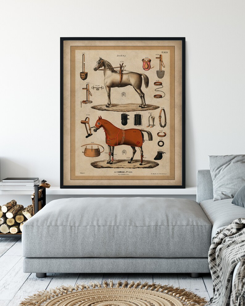 May include: Vintage illustration of two horses with various horse tack and equipment. The illustration is in black, white, brown, red, and orange. The text on the image reads "Jockey" and "At Taille d'un Pied".