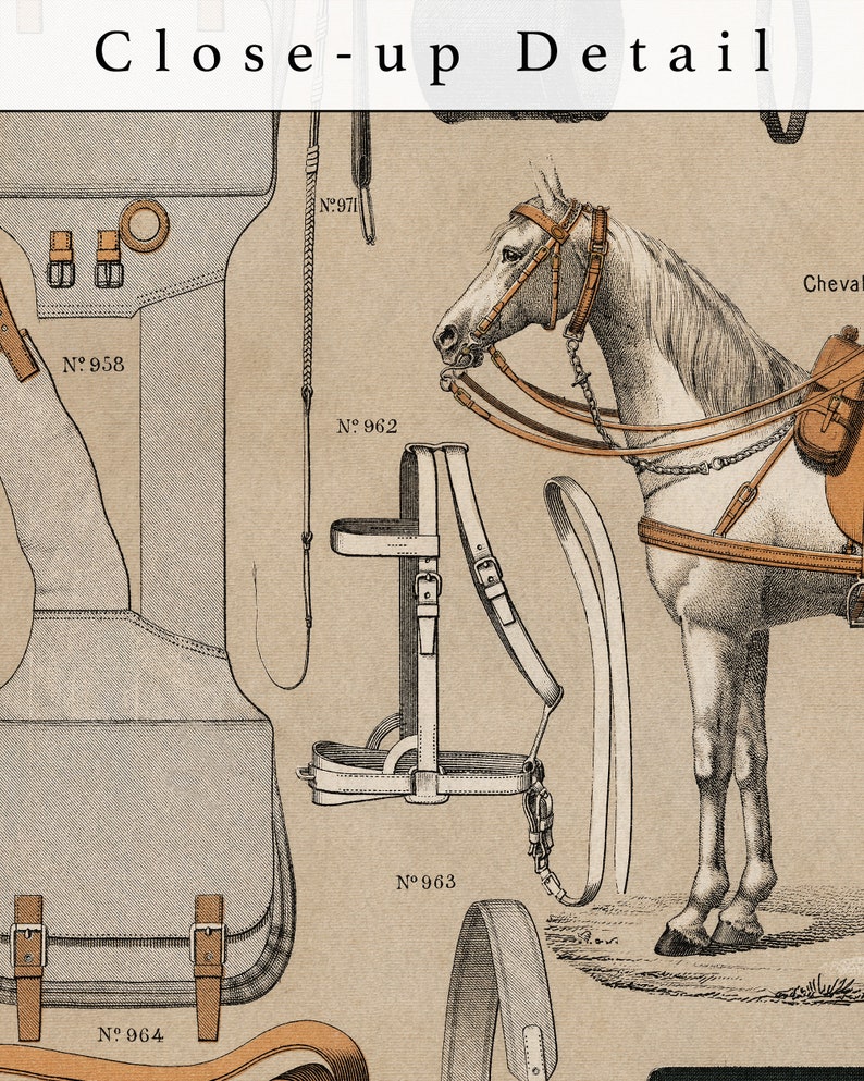 May include: A close-up detail of a horse harness with leather straps and buckles. The harness is labelled with numbers: N&deg; 962, N&deg; 963, N&deg; 971. The harness is attached to a white horse with a brown saddle.