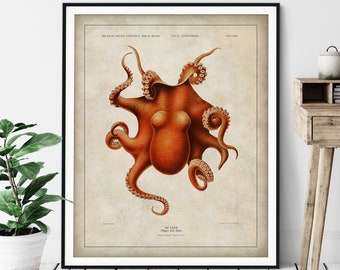 Antique Octopus Print - Vintage Fish Art, Ocean Marine Life Wall Art, Oceanography Gift, Saltwater Animal Wall Decor, Fisherman Gift, Squid