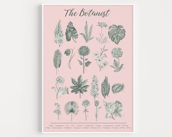 Botanical Print, Pink Print, Wall Art, Pink Wall Art, Prints, Botanical Wall Art, Flower Wall Art, Pink, Fine Art Print, Minimalist Wall Art