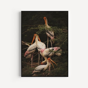 Wall Art Print, Maximalist Print, Bird Print, Wall Art, Maximalist, Bird Wall Art, Prints, Stork, Bird, Art Print, Dark Print, Stork Print