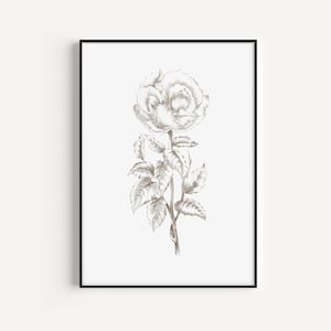 Botanical Print, Wall Art Print, Flower Print, Black White Print, Botanical Wall Art, Flower Wall Art, Minimalist Print, Gift For Her, Art