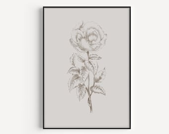 Flower Print, Wall Art Print, Grey Print, Art Print, Botanical Print, Grey Wall Art, Flower Wall Art, Botanical Wall Art, Fine Art Print