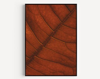 Botanical Print, Wall Art Print, Leaf Print, Art Print, Orange Print, Botanical Wall Art, Leaf Wall Art, Prints, Orange Wall Art, Orange