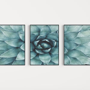 Set of Prints, Botanical Print Set, Succulent, Wall Art, Botanical Prints, Wall Art Set, Flower Print Set, Wall Art Print, Flower Wall Art