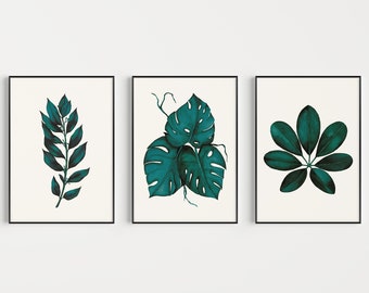 May include: Three framed prints with teal green botanical illustrations. The prints feature a leafy branch, a monstera leaf, and a schefflera leaf.