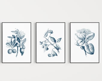 Set of Prints, Botanical Print Set, Wall Art Set, Botanical Wall Art, Wall Art Prints, Flower Wall Art, Blue Prints, Prints, Flower Prints