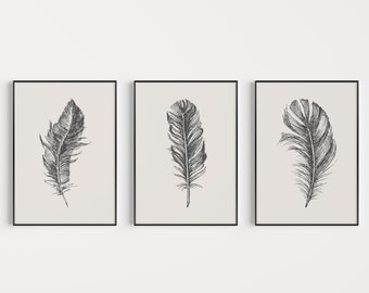 May include: Three black framed prints with a beige background, each featuring a black and white line drawing of a single feather.