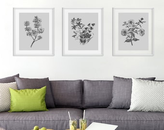 Botanical Print Set, Flower Prints, Set of Prints, Botanical Wall Art, Wall Art Prints, Flower Wall Art, Grey Prints, Prints, Wall Art Set