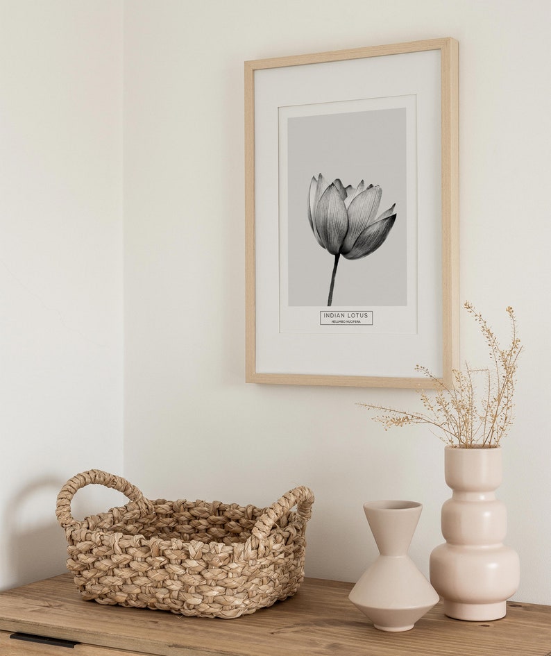 Puede incluir: Una impresi&oacute;n enmarcada de una ilustraci&oacute;n en blanco y negro de una flor de loto india sobre un fondo gris claro. El marco es de madera clara y la impresi&oacute;n tiene el texto "INDIAN LOTUS" y "NELUMBO NUCIFERA". La impresi&oacute;n est&aacute; en una pared blanca junto a una cesta tejida, un jarr&oacute;n rosa claro y un jarr&oacute;n rosa claro de cuello estrecho.