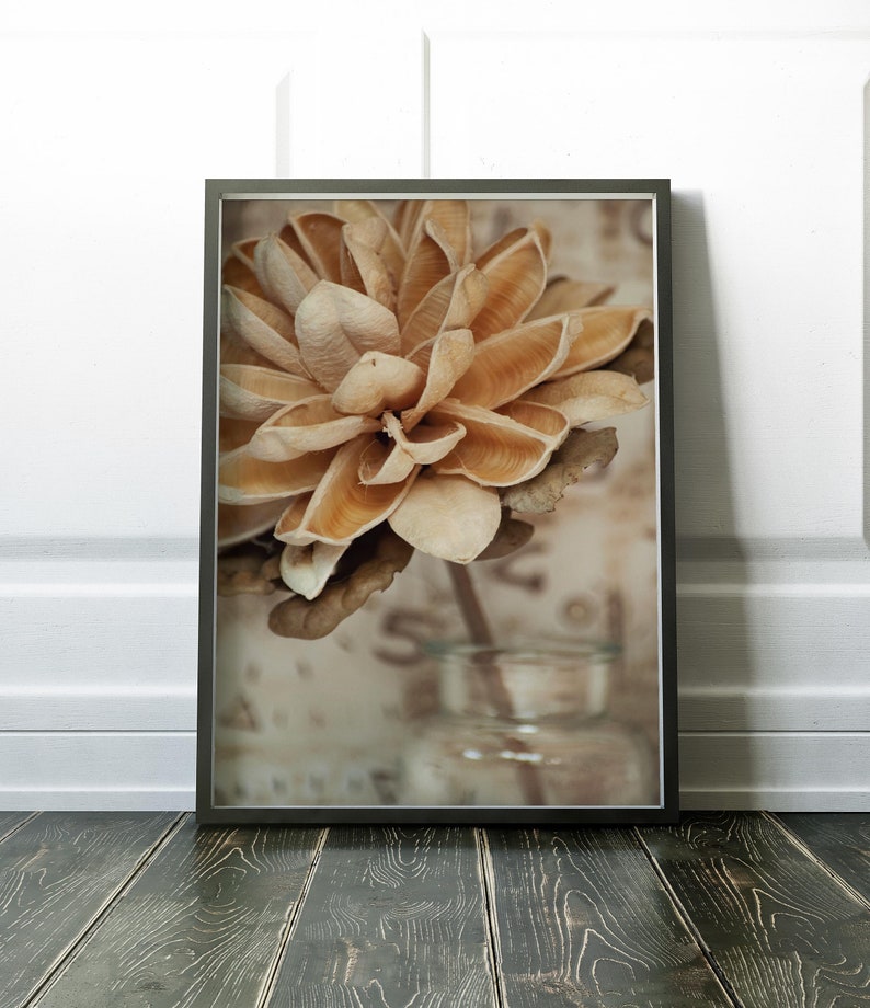 Wall Art Print Flower Print Flower Wall Art Beige Print Etsy UK