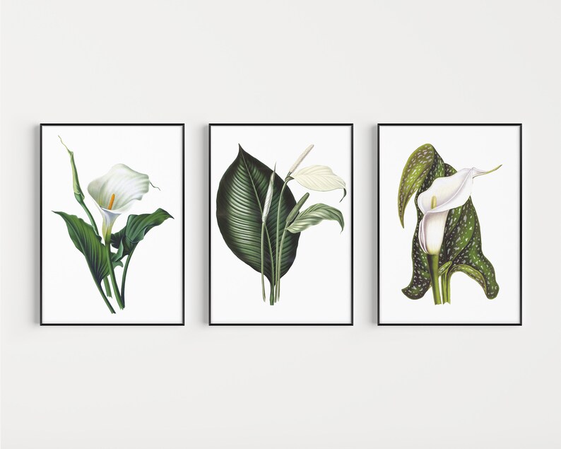 Wall Art Prints Lily Wall Art Flower Wall Art Minimalist Etsy UK