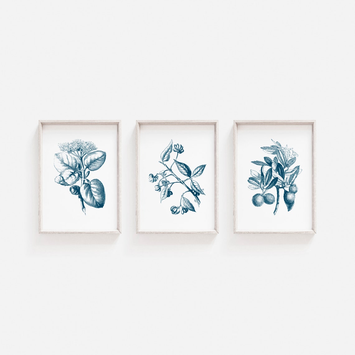 Botanical Print Wall Art Print Botanical Wall Art Flower Etsy UK