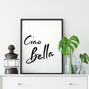 May include: A black framed print with the text "Ciao Bella" in white calligraphy on a white background. The print is on a white dresser with a black lantern and two clear glass vases with green monstera plants.