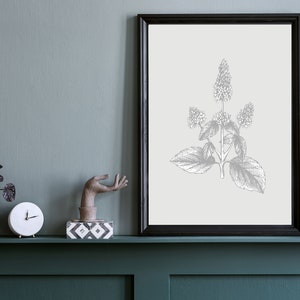 May include: A black framed picture with a white background and a black and white illustration of a plant with leaves and flowers. The picture is on a green shelf with a white clock, a small potted plant, and a decorative hand sculpture.