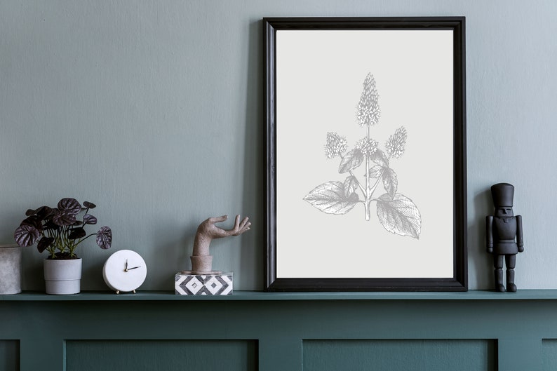 May include: A black framed picture with a white background and a black and white illustration of a plant with leaves and flowers. The picture is on a green shelf with a white clock, a small potted plant, and a decorative hand sculpture.