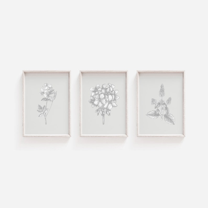 May include: Three framed prints with black and white line drawings of different flowers. The prints are in white frames with a light gray background.