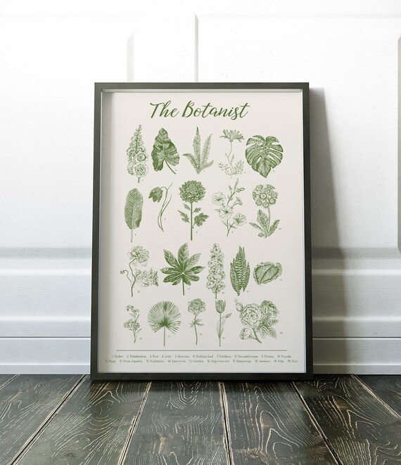 Wall Art Print Botanical Green Image 0