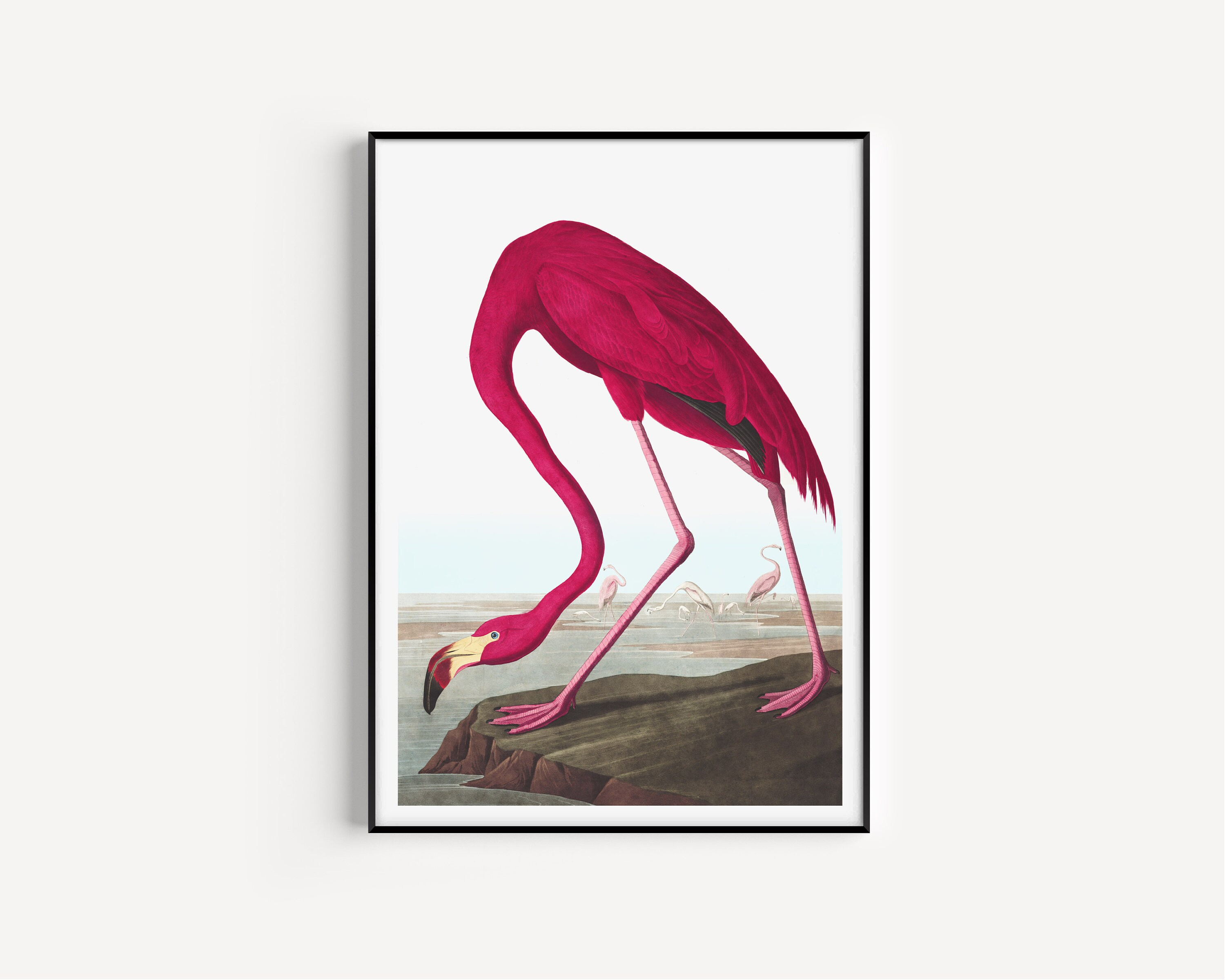 Wall Art Print Flamingo Print Flamingo Wall Art Flamingo Etsy
