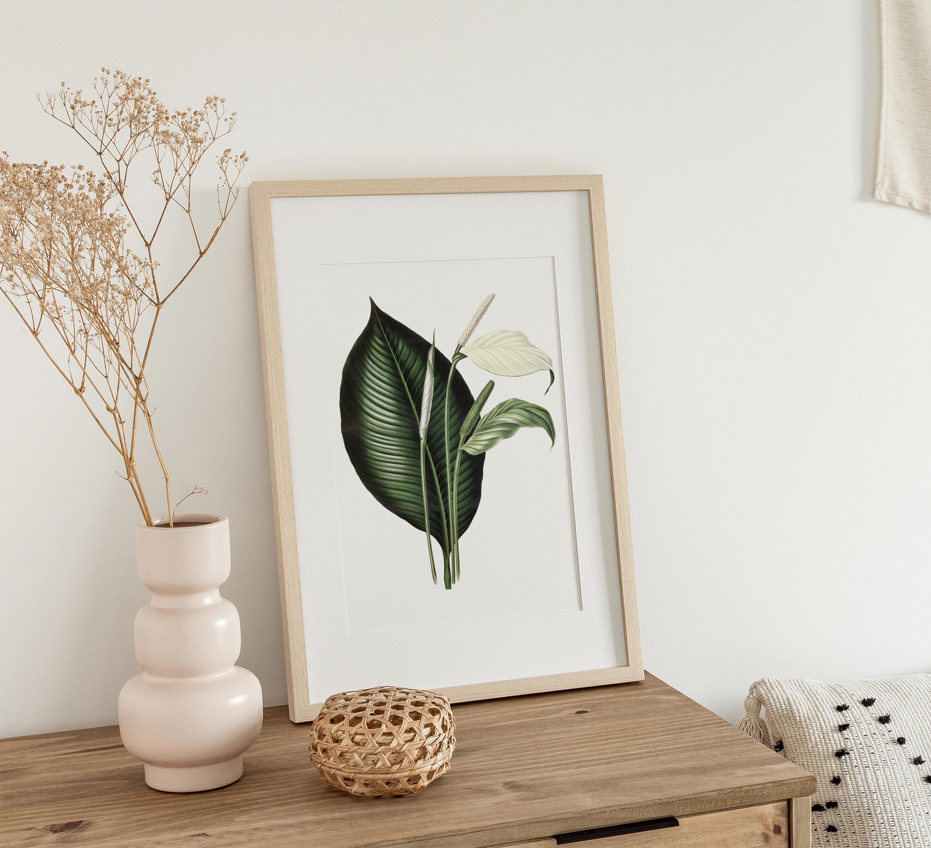 Wall Art Lily Wall Art Flower Wall Art Minimalist Wall Art Etsy