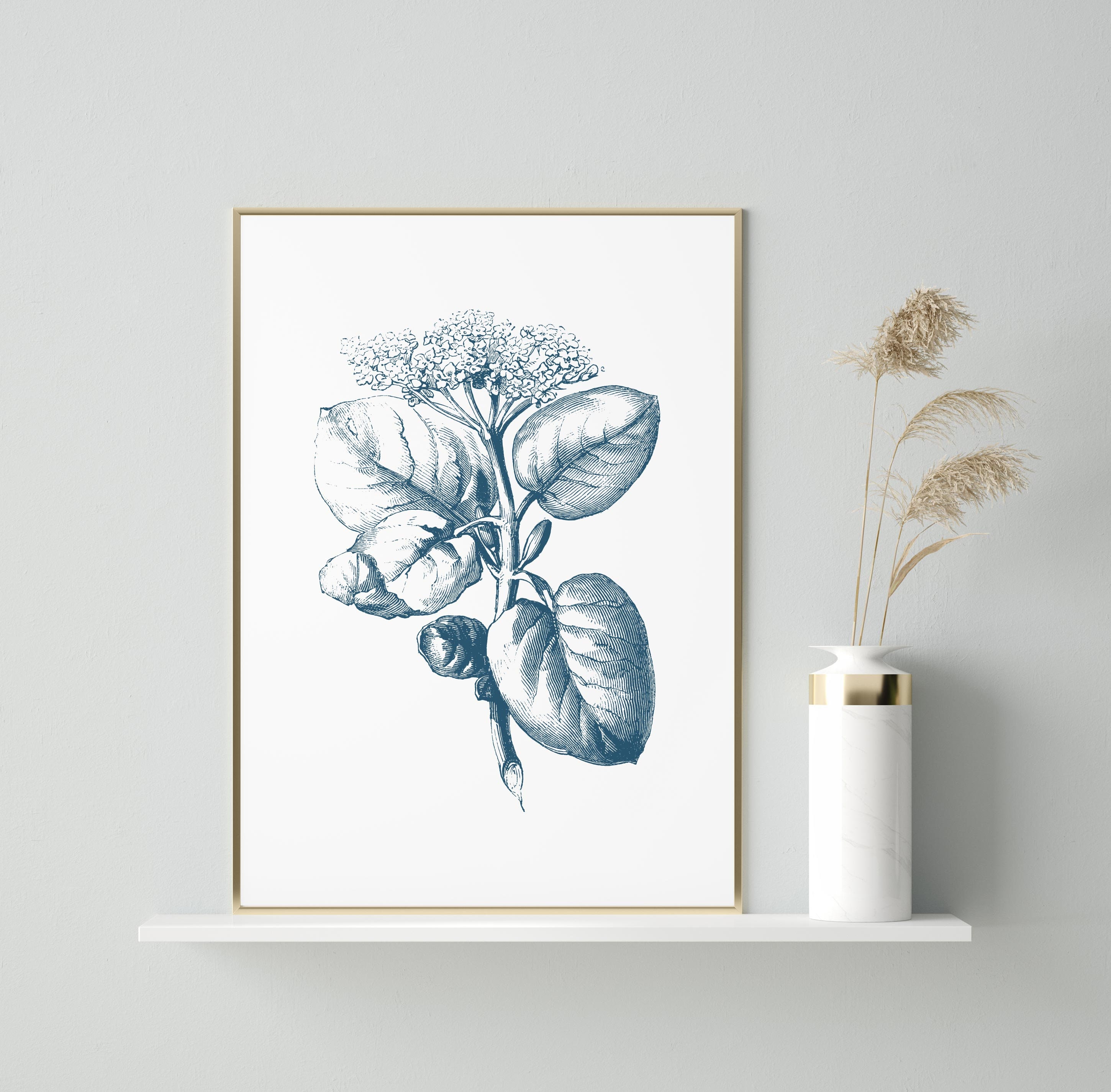 Botanical Print Wall Art Print Botanical Wall Art Flower Etsy UK