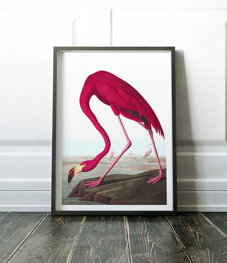 Wall Art Print Flamingo Print Flamingo Wall Art Flamingo Etsy Canada