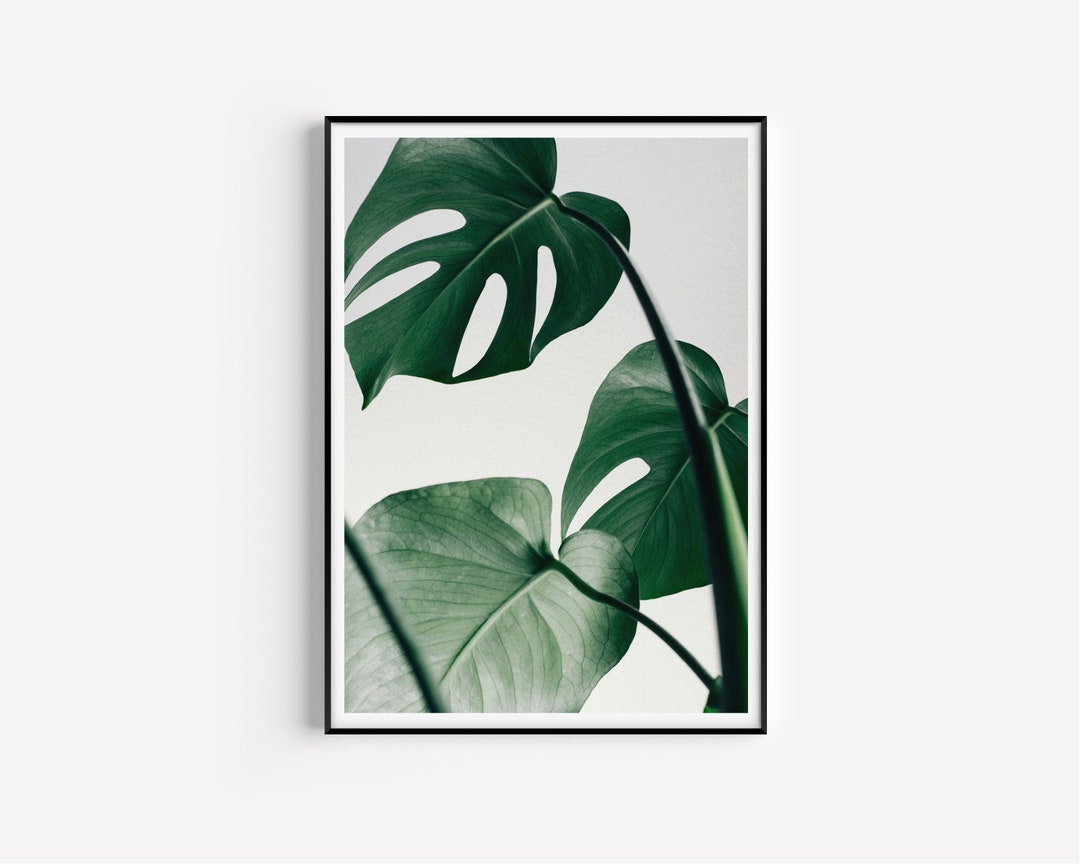 Monstera Print Wall Art Print Scandinavian Print - Etsy