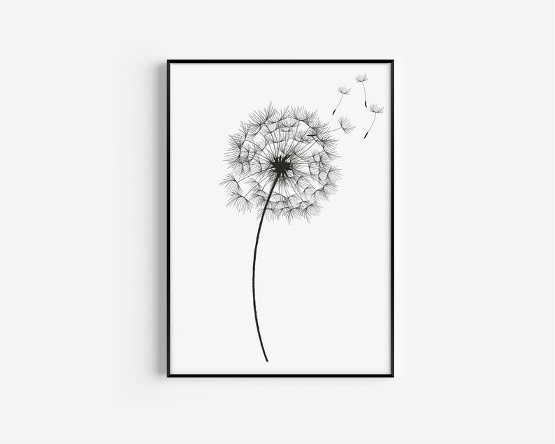 May include: Black and white line art print of a dandelion with seeds blowing in the wind. The dandelion is in a black frame.