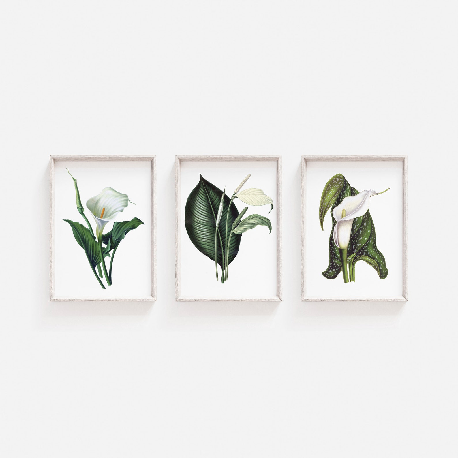 Wall Art Prints Lily Wall Art Flower Wall Art Minimalist Etsy UK