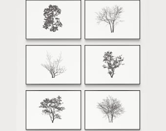 Set of 6 Prints, Black and White, Tree Print Set, Wall Art, Print Set, Wall Art Set, Tree Prints, Tree Wall Art, Wall Art Prints, Art Prints