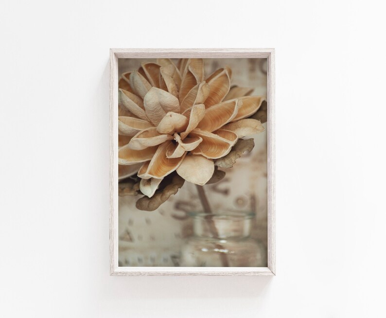 Wall Art Print Flower Print Flower Wall Art Beige Print Etsy UK