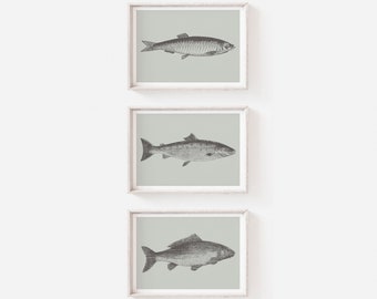 Set of Prints, Fish Prints, Grey Print Set, Fish Wall Art, Wall Art Prints, Fish Print Set, Grey Prints, Prints, Wall Art Set, Minimalist