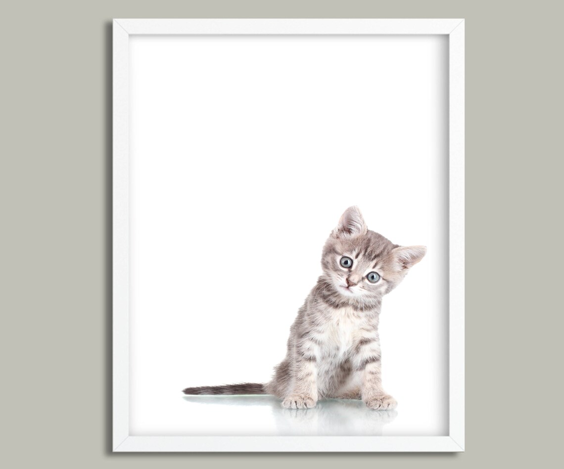 Wall Art Kitten Print Cat Print Cute Wall Art Wall Art Etsy