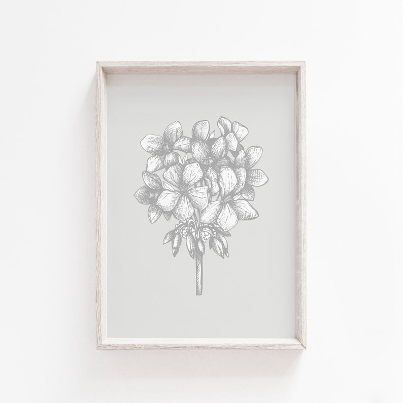 May include: A framed print of a black and white line drawing of a cluster of flowers on a light gray background.