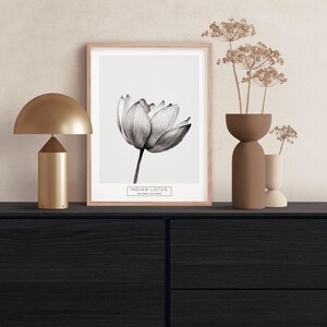 Puede incluir: Una ilustraci&oacute;n en blanco y negro de una flor de loto india en una impresi&oacute;n enmarcada con un marco de madera claro. La impresi&oacute;n est&aacute; sobre una c&oacute;moda negra con una l&aacute;mpara dorada y dos jarrones marrones con flores secas.