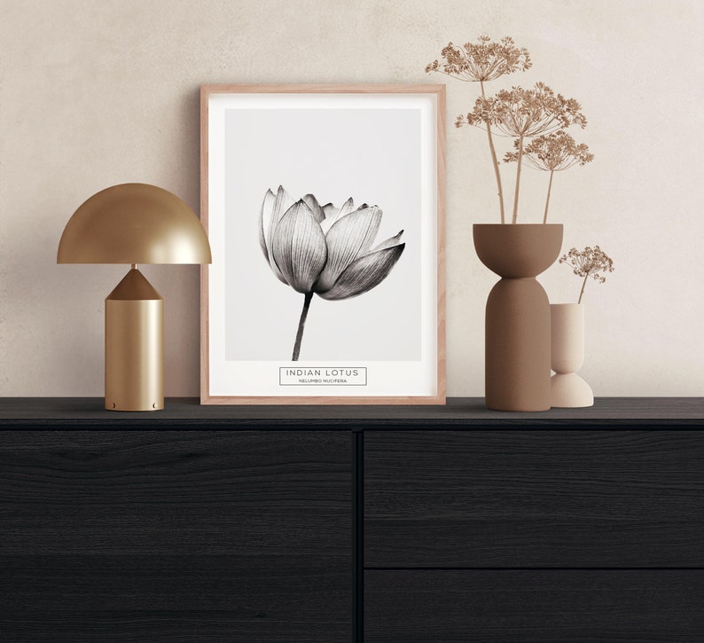 Puede incluir: Una ilustraci&oacute;n en blanco y negro de una flor de loto india en una impresi&oacute;n enmarcada con un marco de madera claro. La impresi&oacute;n est&aacute; sobre una c&oacute;moda negra con una l&aacute;mpara dorada y dos jarrones marrones con flores secas.