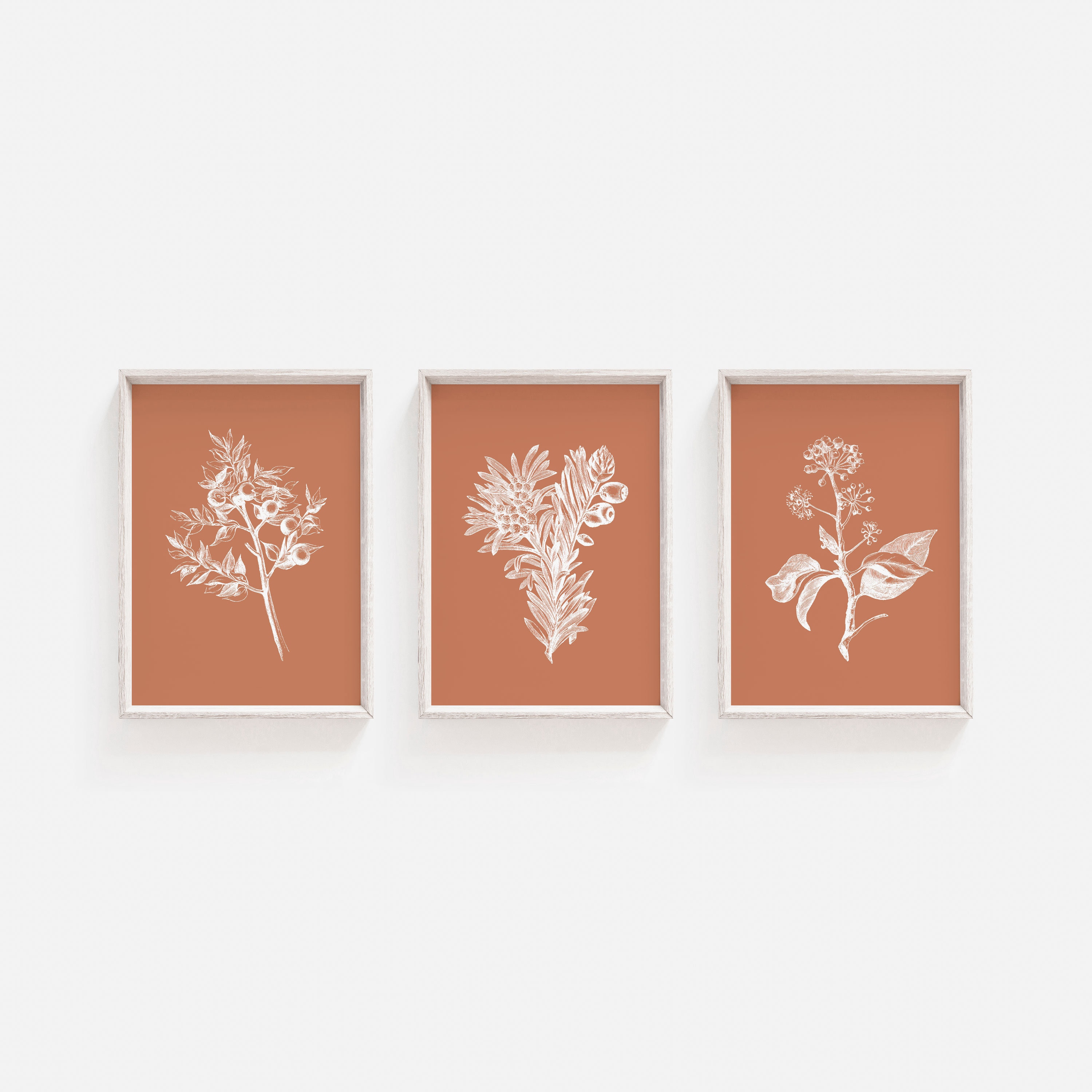 Set of Prints Botanical Print Set Prints Flower Wall Art Etsy