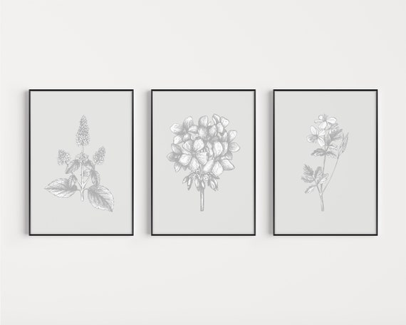Grey Prints, Set of Prints, Grey, Wall Art, Prints, Flower, Art Work, Botanical Print Set, Art Prints, Minimalist Prints, Botanical Print