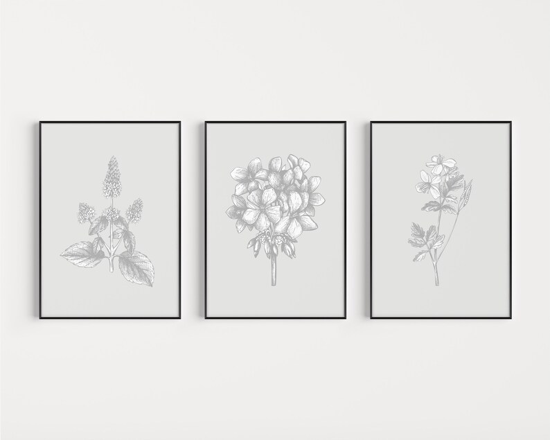 May include: Set of three black framed prints with botanical illustrations in gray on a white background. The prints feature a sprig of mint, a cluster of flowers, and a single flower with leaves.