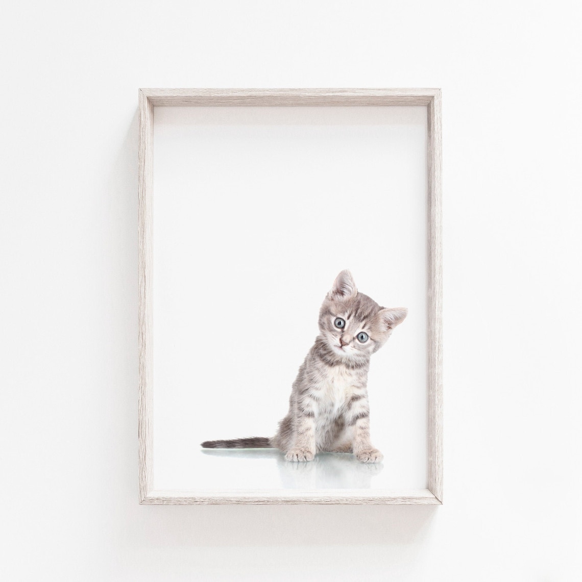 Wall Art Kitten Print Cat Print Cute Wall Art Wall Art Etsy UK