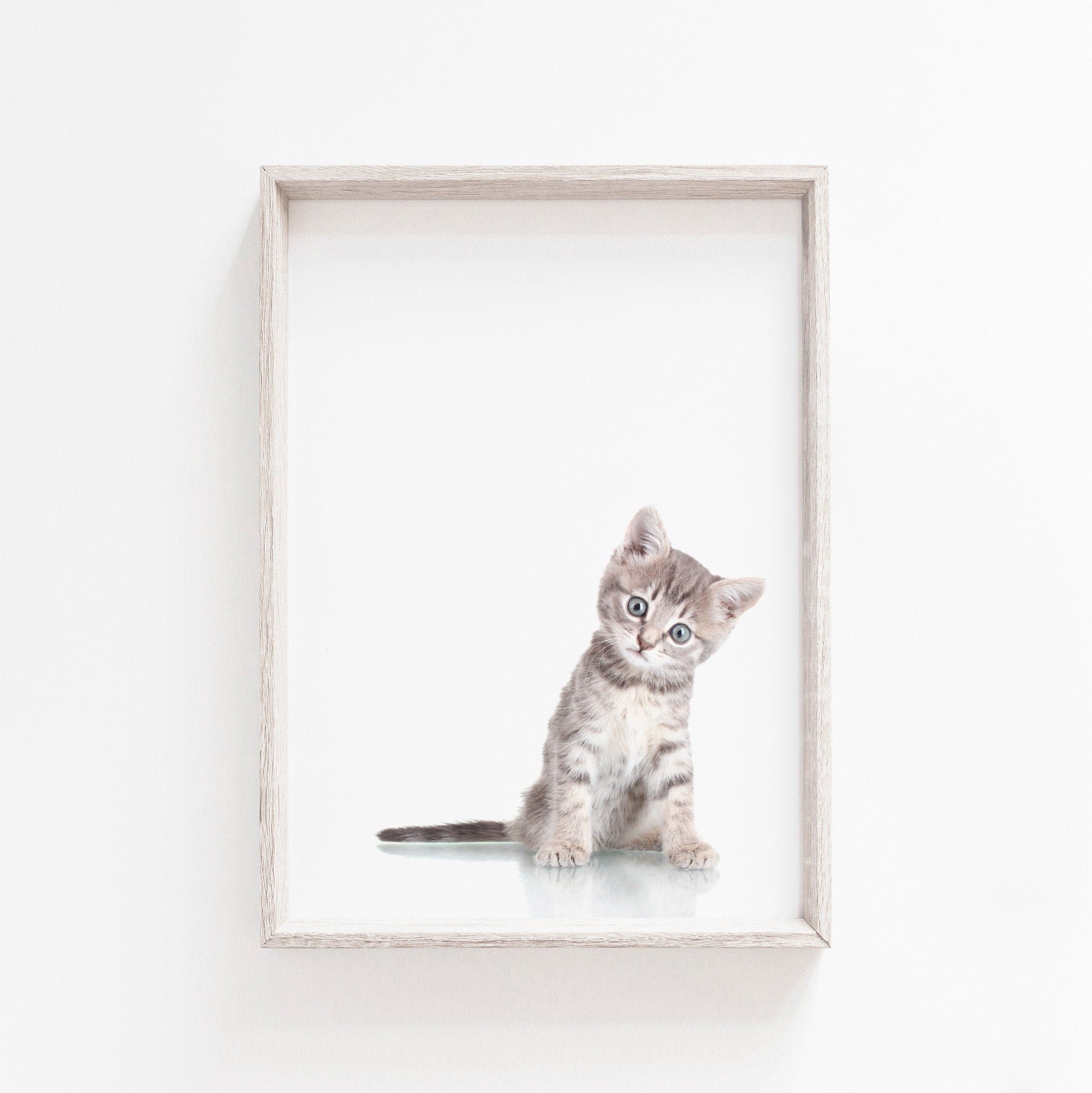 Wall Art Kitten Print Cat Print Cute Wall Art Wall Art Etsy