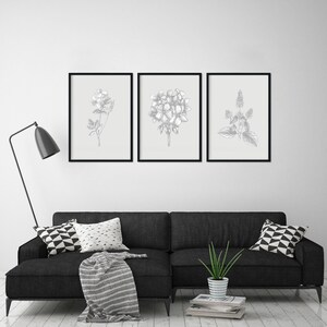 May include: Three black framed prints of botanical illustrations in shades of gray, hanging on a white wall above a black sofa with pillows and a potted plant.